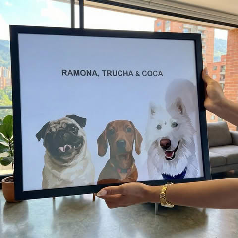 Mejores regalos - Peludolandia